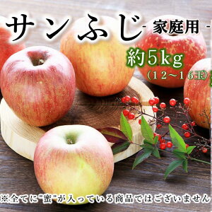  Tӂ yƒpz5kg(12`16) R331 11{` S ӂ  ь TtW t[c  {̉ʕ {̃t[c {̖o Â ʕ    Y 