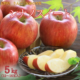 りんご シナノスイート【秀品】約5kg(12〜16玉) R313※10月中旬〜発送予定 送料無料 内祝い フルーツギフト 林檎 リンゴ 5kg 美味しい フルーツ 家庭用 果物 おいしい 高級フルーツ 信州 ギフト 長野 お取り寄せ 贈答用 贈答品 贈り物 JAみなみ信州 長野 産地直送 プレゼント