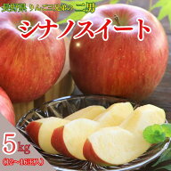 りんご シナノスイート【秀品】約5kg(12〜16玉) R313 ※10月中旬〜10月下旬発送予定 送料無料 産地直送 …