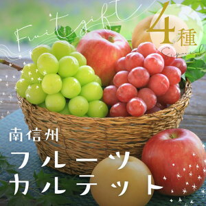 MBt[cJebg 2.5kg (e1[) R373(①) 10{`  NC[[W }XJbg Zbg  햳 uhE  쐅 VimXC[g ʕ t[c  