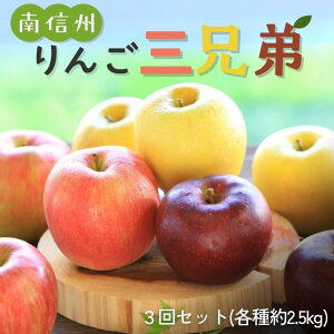 쌧 MB񂲎OZ 3Zbg ei  2.5kg(8`9) R35110{`\  S Hה ь Hf VimXC[g VimS[h ʕ t[c t[c 