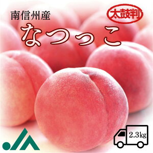 �� �Ȃ����y���۔��z�� 2.3kg (6�`7��) R151 �i�①�j��8����{�`�����\�� �G�߂̉ʕ� 3�L�� �ʕ� �t���[�c ���� ���� ���� �{ ������ �䒆�� ���������� �{�̉ʕ� �M�t�g ���j�� ���蕨 �����p 