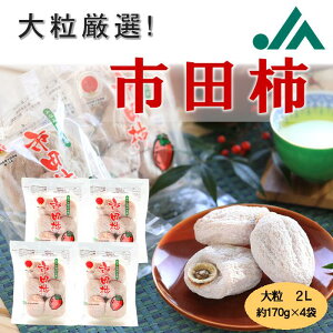 嗱Isc` 680g(5`6×4܁j R408  ` ق ق` sc` Yn Ε Ε N N 嗱 YhCt[c hCt[c ` Â  e 쌧Y