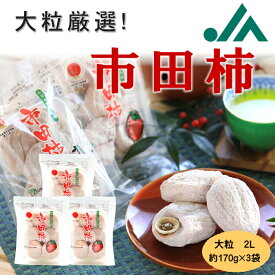 大粒厳選市田柿 510g(5〜6粒入×3袋）R410 送料無料 干柿 ほしがき ほし柿 市田柿 産地直送 御歳暮 お歳暮 御年賀 お年賀 食物繊維 大粒 国産ドライフルーツ ドライフルーツ 柿 甘い 高級 大容量 長野県産 自宅用 国産 ギフト プレゼント 高齢者 お返し お礼 贈り物 GI