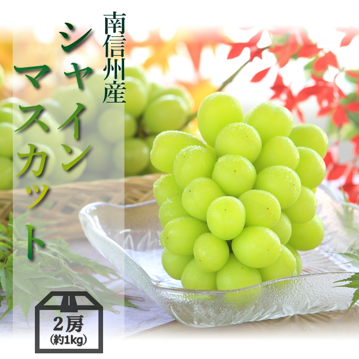 日本最大級 ”シャインマスカット ナガノパープル” 秀品 合計約2kg 産地厳選 食べ比べ ぶどう 送料無料