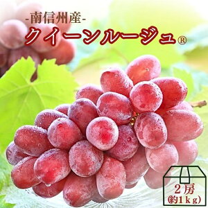 Ԃǂ NC[[W 1kg(2[) R020i①j9{`\  쌧IWii ԂVC}XJbg uhE  ʕ  t[c  MB ȂԂ