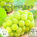 ぶどう シャインマスカット 【秀品】約2kg(3〜5房) ［冷蔵］ R002 ※9月中旬〜発送予定 予約 旬の果物 皮ごと マスカット ブドウ 葡萄 果物 フルーツ 秋の果物 高級フルーツ 秋 長野 国産 大粒 種なし 皮ごと食べられる 丸ごと ギフト 内祝い 贈り物 贈答用
