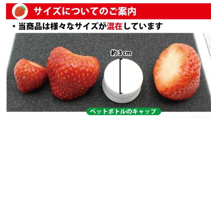 楽天市場】大容量 冷凍いちご「博多あまおう」800g～4kg R8年福岡県産 