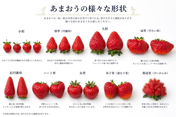 楽天市場】大容量 冷凍いちご「博多あまおう」800g～4kg R8年福岡県産 