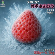 大容量 冷凍いちご「博多あまおう」800g～4kg R8年福岡県産【送料無料・一部地域除】【加工/直送/冷凍い…
