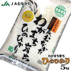 【送料無料】JAむなかたわがまち育ち「ひのひかり」5kg 福岡県産 JAむなかた直送 お米 白米 ごはん