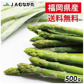 【送料無料】ちょっと訳あり福岡県産「冷凍アスパラガス」500g JAむなかた直送 冷凍食品 冷凍野菜 国産 野菜 冷凍 アスパラ