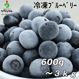 【送料無料】急速冷凍!農薬不使用【ブルーベリー】600g〜3kg(600g×1~5袋) 果物 フルーツ ジャム ジュース スムージー 冷凍ブルーベリー