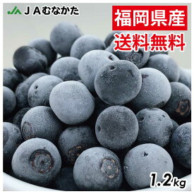 【送料無料】急速冷凍！農薬不使用ブルーベリー1.2kg（600g×2） 果物 フルーツ ジャム ジュース スムージー 冷凍ブルーベリー