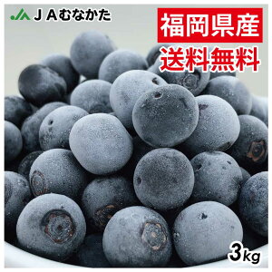 yzꕔ͑ΏۊO@}ⓀI_sgpu[x[3kgi600g×5j ʕ t[c W W[X X[W[ Ⓚu[x[
