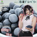 【予約受付】R8年産 急速冷凍！農薬不使用【国産】【ブルーベリー】600g～3kg（600g×1~5袋）【送料無料】【 果物/フ…