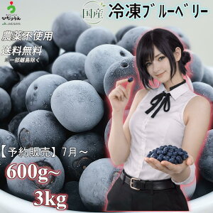 ブルーベリー 3kg」の人気商品一覧・価格比較 - 価格.com