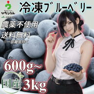急速冷凍！農薬不使用【国産】【ブルーベリー】600g～3kg（600g×1~5袋）【送料無料】【 果物/フルーツ/…