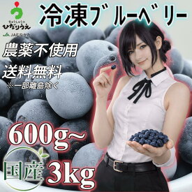 急速冷凍！農薬不使用【国産】【ブルーベリー】600g～3kg（600g×1~5袋）【送料無料】【 果物/フルーツ/ジャム/ジュース/スムージー/有機栽培/フラペチーノ/福岡県産/自然/フローズン/藍苺/blueberry/無農薬/オーガニック/organic/ヨーグルト/真空パック】