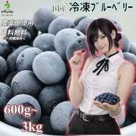 R8年産 急速冷凍！農薬不使用【国産】【ブルーベリー】600g～3kg（600g×1~5袋）【送料無料】【 果物/フ…