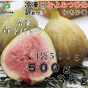 冷凍いちじく（博多とよみつひめ）500g~3kg　訳あり【福岡県産とよみつひめ】【送料無料】【九州産/無花果/いちぢく/…