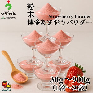 yz܂pE_[y30g`900gz(1܁`30܁jَqp   Xgx[ Y Y JAނȂ َq \[X W ܂100gp sgp@