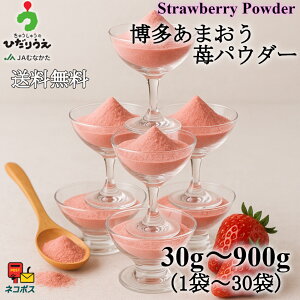 �y���������z�������܂���䕃p�E�_�[�y30g�`900g�z(1�܁`30�܁j/���َq�p/������/�/�X�g���x���[/�������Y/���Y/ JA�ނȂ���/���َq���/�\�[�X/�W����/�������܂���/100���g�p/�����s�g�p/����