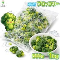 【冷凍ブロッコリー】【500g袋・1kg袋】JAむなかた直送 大容量 福岡県産（福津市・宗像市）【一部除き送…