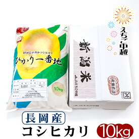 【特別栽培米】ひかり一番地 10kg （新潟県長岡産コシヒカリ ） 令和5年産【送料無料】