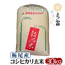 【新潟県産】栃尾（とちお）コシヒカリ 玄米 30kg 令和5年産【送料無料】2等米