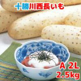 長いも（十勝川西長いも）北海道産長芋　AL～A2Lサイズ　2.5kg(3～4本入)令和5年産