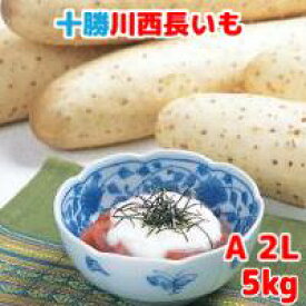 長いも（十勝川西長いも）北海道産長芋　AL～A3Lサイズ　5kg(5～8本入)令和5年産