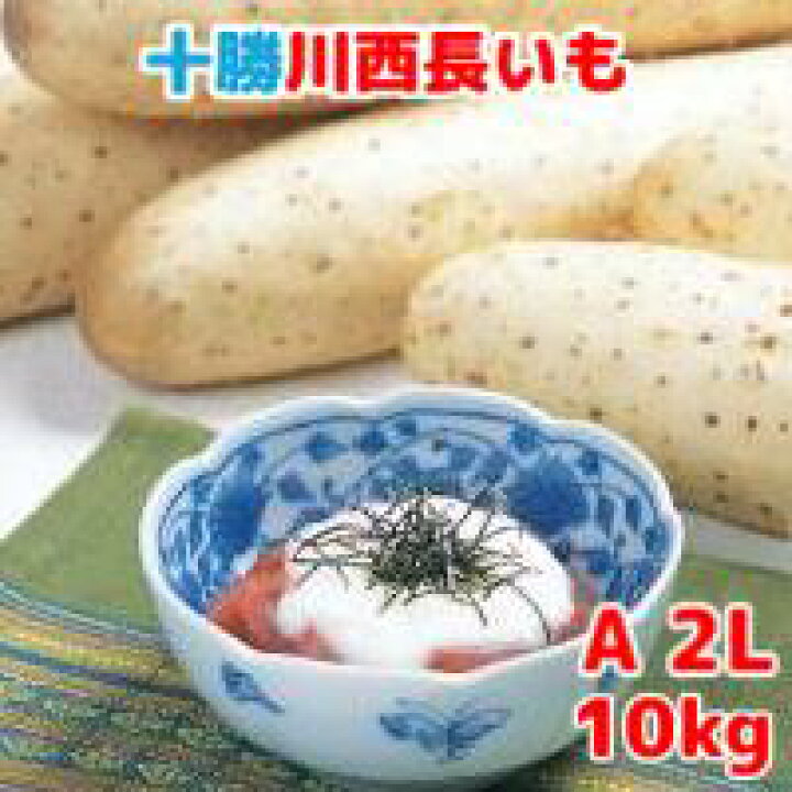 楽天市場】長いも（十勝川西長いも）北海道産長芋 AL～A3Lサイズ 10kg 