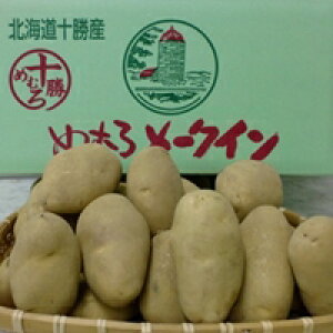 ߂ނ냁[NC LTCY 10kg