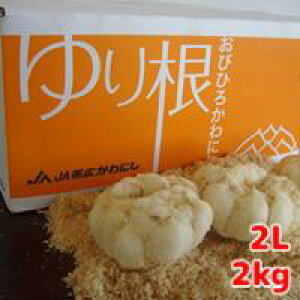 ˁij@kCY@L~2LTCY@2kg