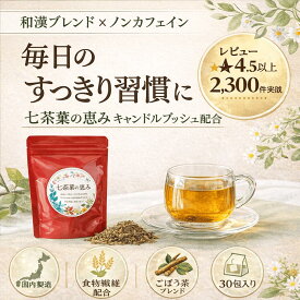 健康茶 人気 ダイエット茶 お茶 ダイエットティー ノンカフェイン 七茶葉の恵み キャンドルブッシュ配合 ティーバッグ 和漢ブレンド 食物繊維 ごぼう茶 ハーブティー 朝すっきり