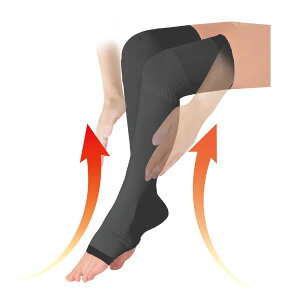 VR\bNXT|[^[ 1   \bNX ubN ƃcc yV lC