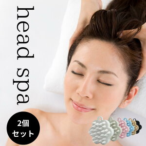 y2ZbgzXJvuV wbhXp PA̐V펯 XJvuV NȔ