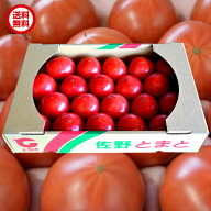 栃木県産 トマト 1箱 4kg JA佐野 出荷規格 クリア品 家族友達とシェアできる容量 産地直送新鮮野菜 詰合…