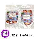 【在庫限りで販売終了】 スカイベリー ドライフルーツ 15g×2袋入り保存料 無添加 無着色 ドライイチゴ プレゼント おやつ 持ち運び 【ドライスカイ】