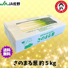 訳あり 長ねぎ 白ねぎ 約5kg さのまる葱 訳アリ規格 佐野ネギ出荷部会 家庭用 業務用 白ネギ 長ネギ 社会貢献ネギ さのまる葱プロジェクト 訳あり 冷蔵便