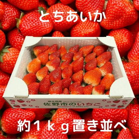 とちあいか バラ詰め 約1kg 栃木県産 イチゴ 苺 冷蔵便 アグリタウン