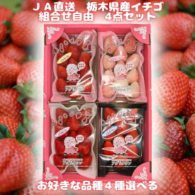配送日指定不可いちご お好きな苺を4種類の中から選択 合計約1.2kg 栃木県産 イチゴ アグリタウン とちおとめ スカイベリー とちあいか ミルキーベリー 冷蔵便 アグリよりどり バレンタイン ホワイトデー