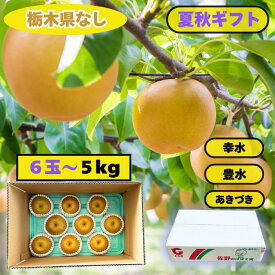 【予約商品】 配送日要確認 梨 約5kg のむら果樹園 なし ナシ ギフト 夏ギフト 贈り物 贈答品 暑中見舞い 残暑見舞い お盆 敬老の日 売れ筋 佐野市 幸水 豊水 あきづき かおり きらり にっこり お中元 JA 産地直送 佐野ブランド認定品