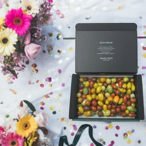 y\񒆁zJt ~jg}g13 1.2kg or 1.4kg ƒp1kg Ȗ،Y  l ֌~jg}g Mtg YUMERI FARM Ε