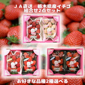 配送日指定不可 お好きな苺を2種類の中から選択 合計約600g 栃木県産 いちご イチゴ アグリタウン とちおとめ スカイベリー とちあいか ミルキーベリー 冷蔵便 アグリよりどり バレンタイン ホワイトデー