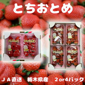 送料無料 配送日時指定不可 栃木県産 とちおとめ 1パック250グラム前後 ギフト セット ケーキ 苺 いちご イチゴ 訳ありではない JA佐野 直販 産地直送 プレゼント デコレーション 冷蔵便 バレンタイン ホワイトデー