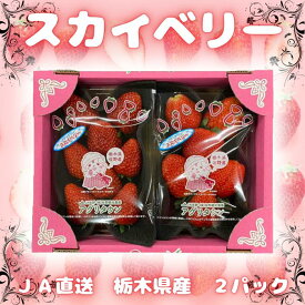 いちご スカイベリー 2パックセット 送料無料 栃木県産 さのまるオリジナル箱セット 冷蔵便 【アグリスカイ2P】 バレンタイン ホワイトデー