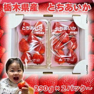 JA  Ƃ  2pbN Ȗ،Y Mtg 6`7 140gO 1pbN290gO v580g  lΉ ① C`S JA yJA2Pz