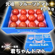 君ちゃんトマト フルーツトマト 約1kg 糖度7度以上 詰合せ 贈答用 贅沢品 送料 無料【君ちゃんトマト】